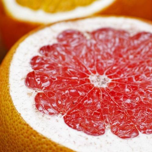 Fresh Food, Fresh Ideas