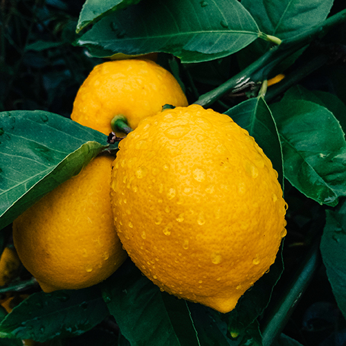 Bankenreport Deutschland 2030