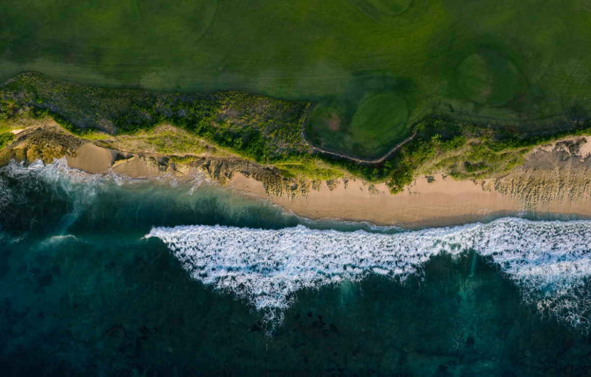 Unlocking Nature-Based Solutions For Sustainable City Growth